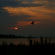 Image for article titled Shooting Challenge Sunset Gallery 3
